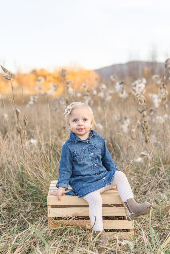 Toddler portrait in a grassy field during an outdoor family photography session